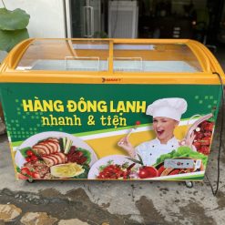 TỦ ĐÔNG SUỐT MẶT KÍNH CONG TRƯNG BÀY