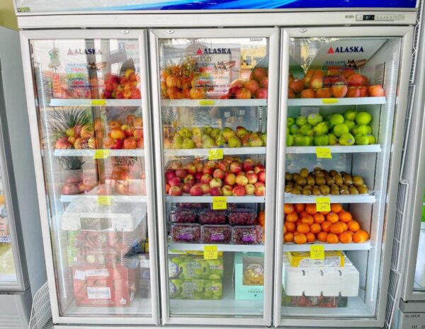 IMG 2089 e1736677067661