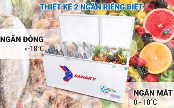 IMG 0866 e1744206269245