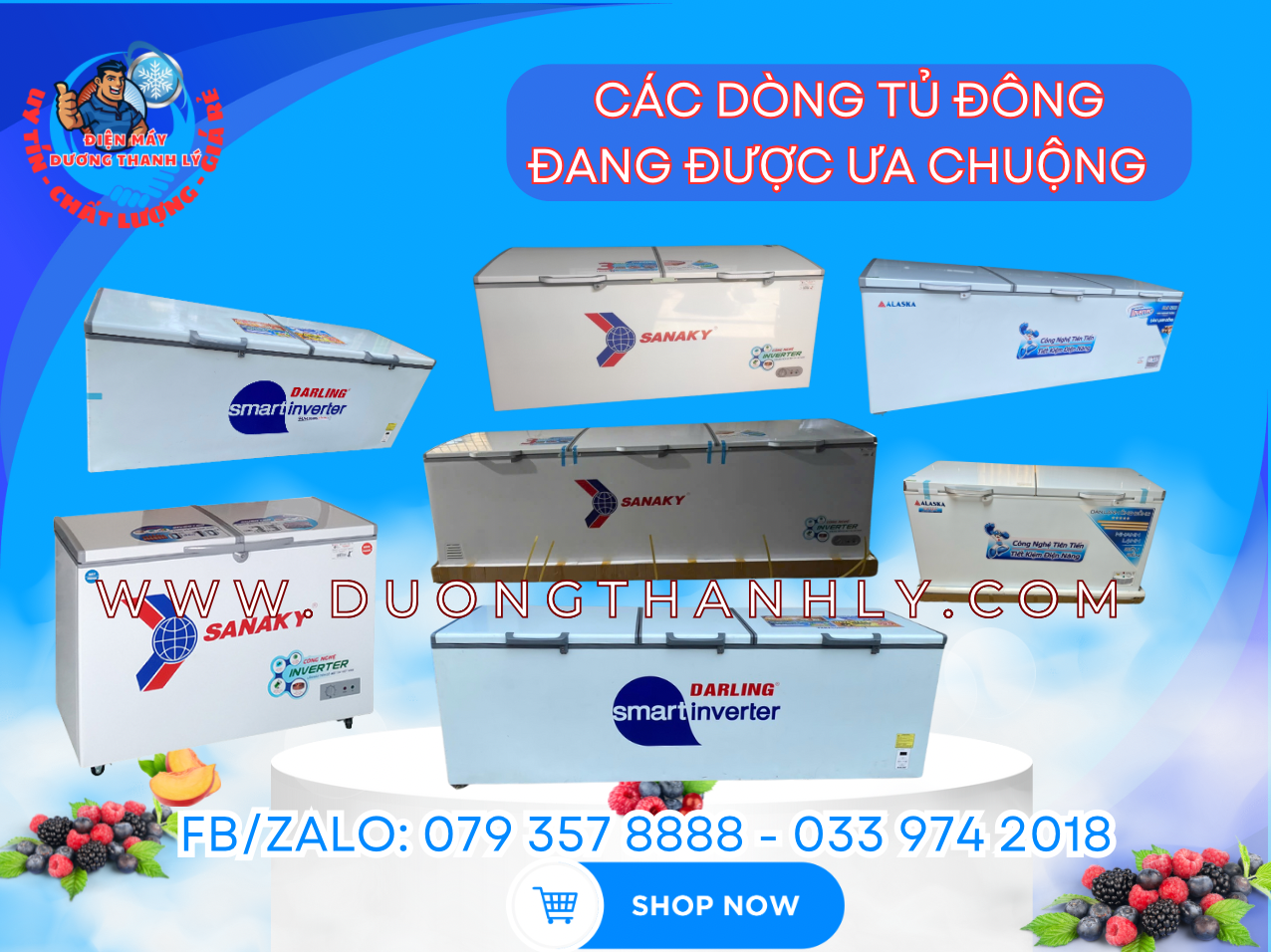 Top 7 Lý Do Nên Chọn Tủ Đông 2 Chế Độ 2 Ngăn