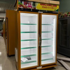 Tủ Mát 2 Cánh Carrier 2DGB IVTH NEW